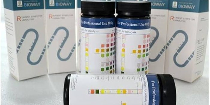 41Ai15pp38L._AC_UF1000,1000_QL80_